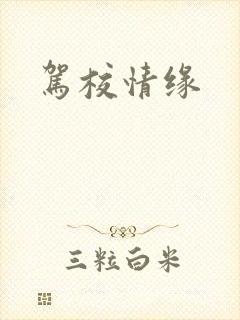 驾校情缘