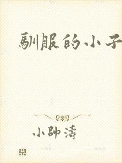 驯服的小子4