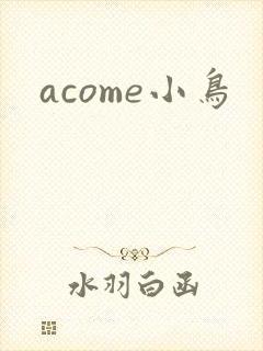 acome小鸟