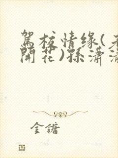 驾校情缘(老树开花)孙潇潇笔趣阁