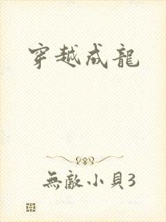 穿越成龙