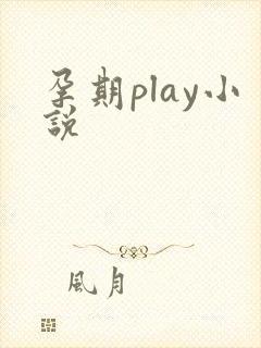 孕期play小说