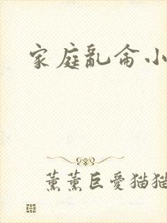 家庭乱仑小说