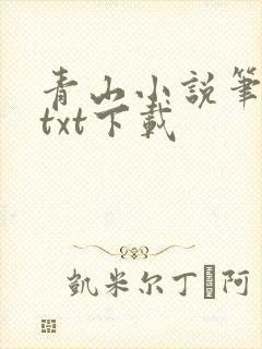 青山小说笔趣阁txt下载
