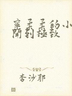 宁柔柔的小泬撑开到极致
