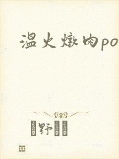 温火炖肉pop