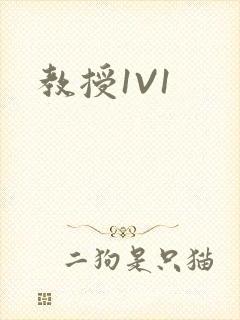 教授1V1