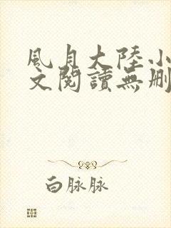 风月大陆小说全文阅读无删减