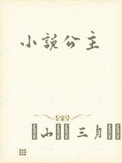 小说公主