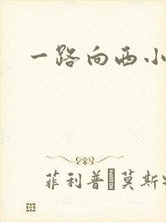 一路向西小说
