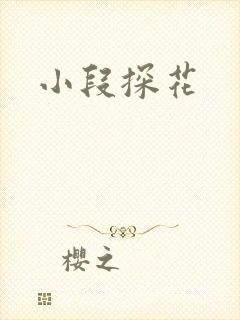 小段探花