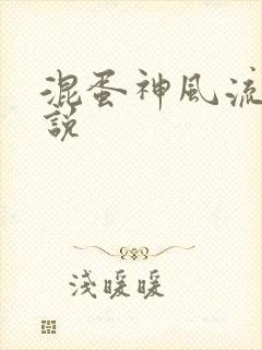混蛋神风流史小说