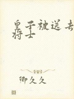 皇子被送去犒劳将士