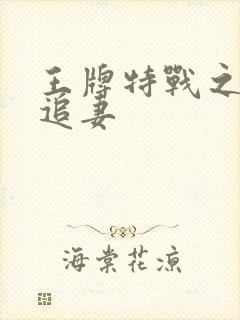 王牌特战之军少追妻