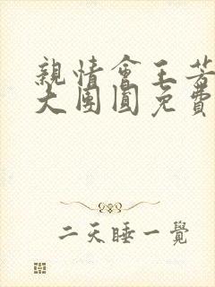 亲情会王芳高敏大团圆免费阅读