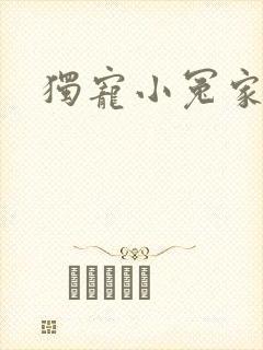 独宠小冤家封面