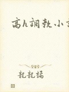 高h调教小说