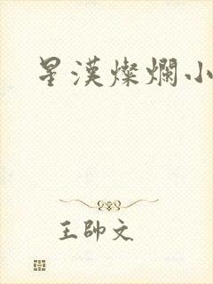 星汉灿烂小说