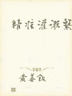 精准灌溉系统