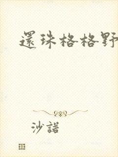 还珠格格野传封面