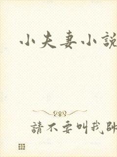 小夫妻小说