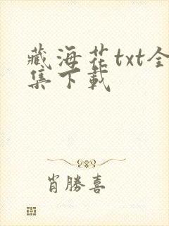 藏海花txt全集下载