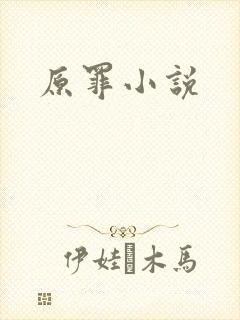 原罪小说封面