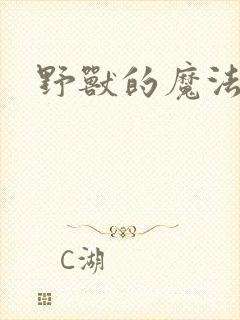 野兽的魔法师