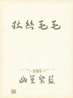 拉丝毛毛