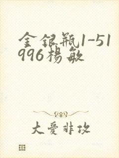金银瓶1-51996杨敏封面