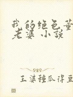 我的绝色董事长老婆 小说