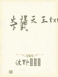 火爆天王txt下载