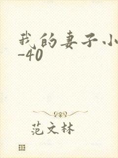 我的妻子小谨1-40封面
