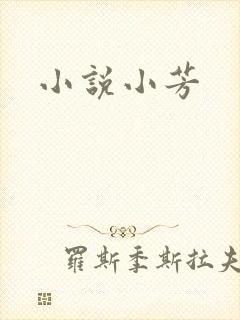 小说小芳