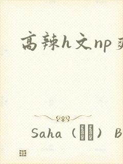 高辣h文np爽