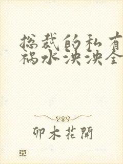 总裁的私有宝贝祸水泱泱全文阅读