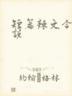 短篇辣文合集小说