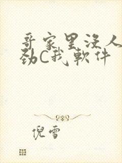 哥家里没人使点劲C我软件