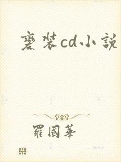 变装cd小说封面