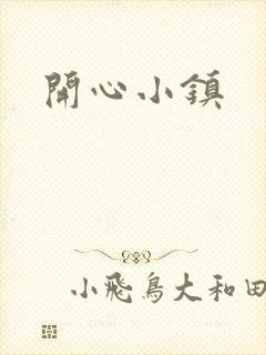 开心小镇封面