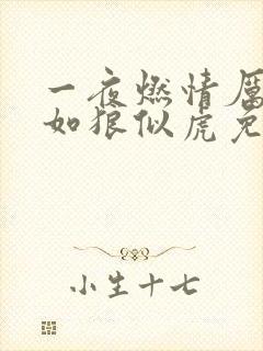 一夜燃情厉先生如狼似虎免费阅读