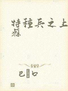 特种兵之上你成瘾封面