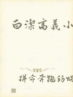白洁高义小说