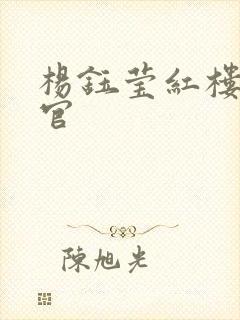 杨钰莹红楼醉高官封面