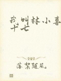 我叫林小喜今年十七封面