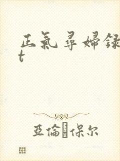 正气寻妇录txt