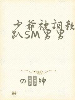 少爷被调教室跪趴SM男男