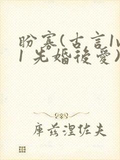 盼寡(古言1v1 先婚后爱)