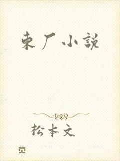 东厂小说封面