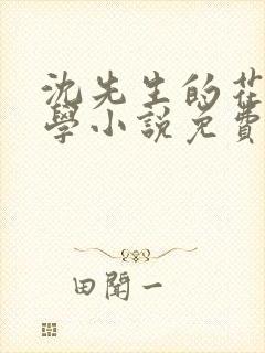 沈先生的花式教学小说免费